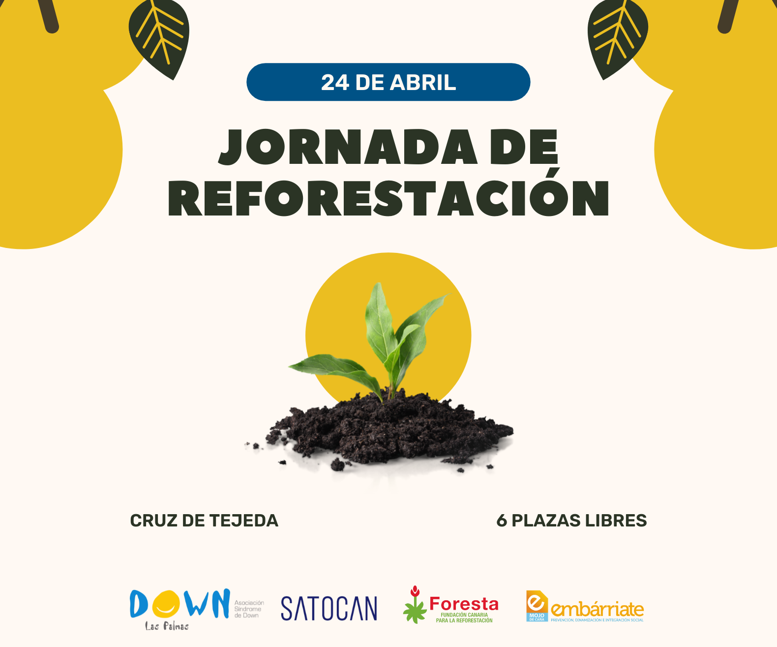 Jornada de reforestación