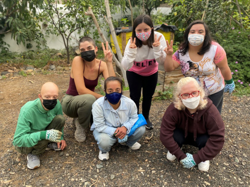 Voluntariado en el Huerto